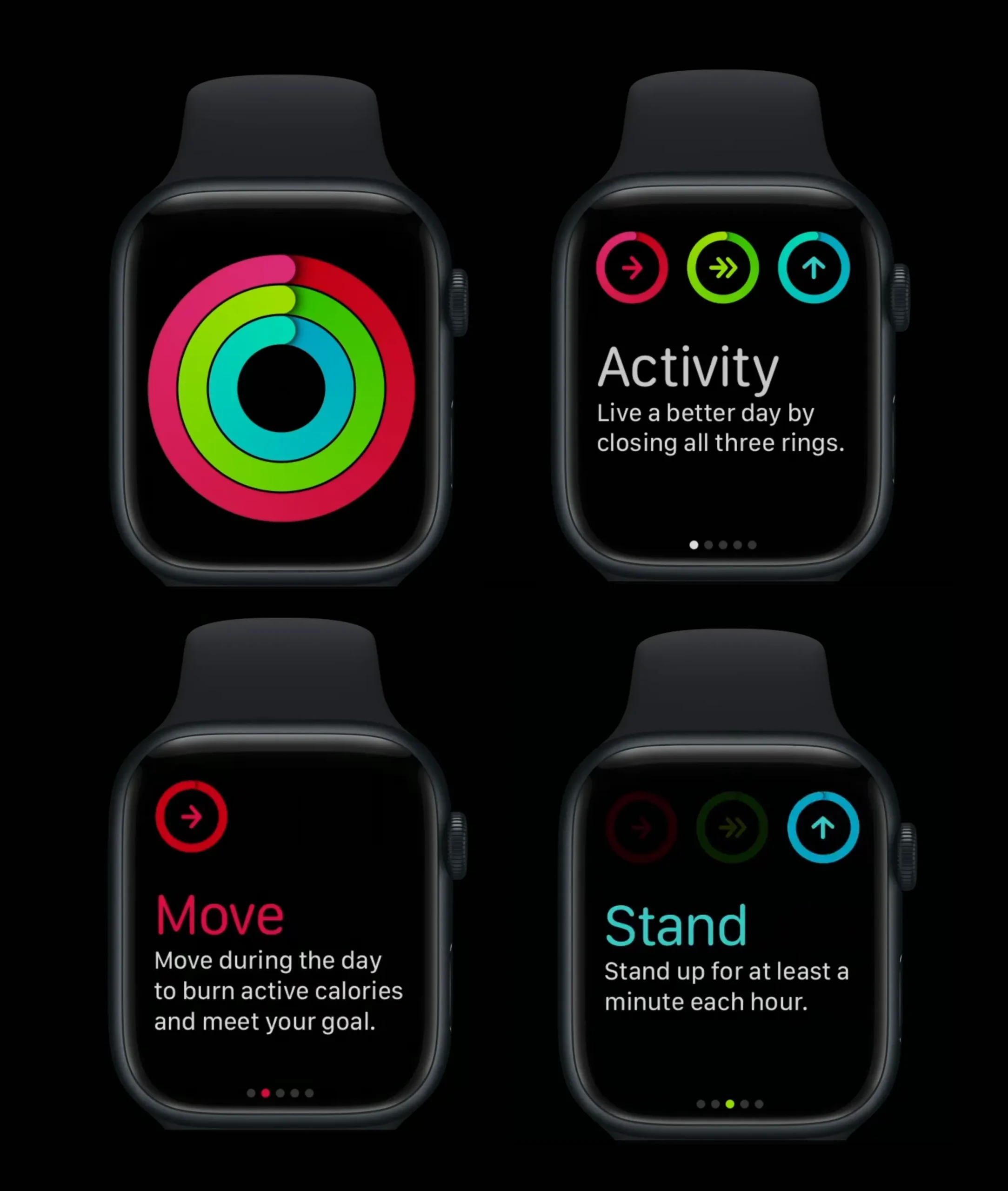 charts in apple watch